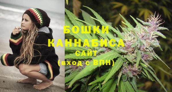 стаф Кулебаки