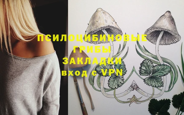 стафф Кукмор