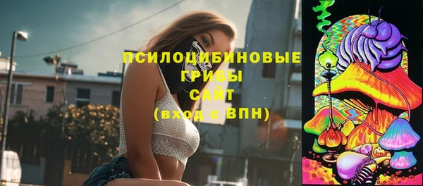 стаф Кулебаки