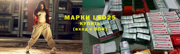 ГАЛЛЮЦИНОГЕННЫЕ ГРИБЫ Куйбышев