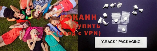 стаф Кулебаки