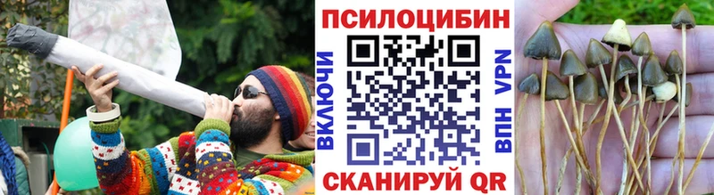 Галлюциногенные грибы Magic Shrooms  Ряжск 
